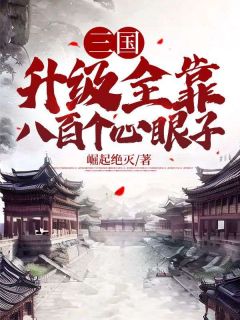 三国：升级全靠八百个心眼子