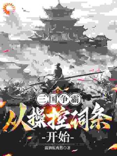 三国争霸，从操控词条开始