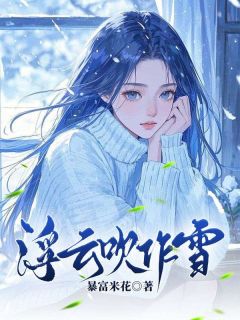 浮云吹作雪