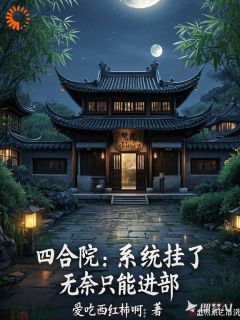 四合院：系统挂了，无奈只能进部