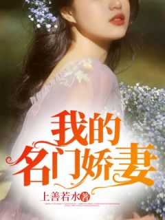 抖音小说《我的名门娇妻》主角龙禹江允儿全文小说免费阅读