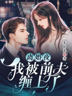 《江城夏夜静谧》小说免费阅读 苏薇傅言安大结局完整版