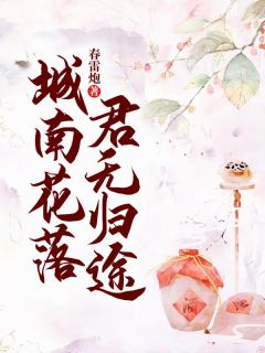 城南花落，君无归途小说(完结)-宋漓叶岐扬无删减阅读